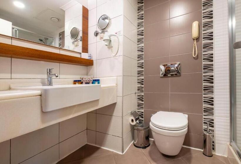 Номер Стандарт Вид на Бассейн, Viking Star