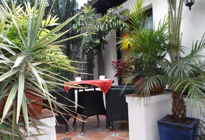آپارتمان 1 خوابه با تراس, Apartamentos Monasterio De San Antonio Adults Only