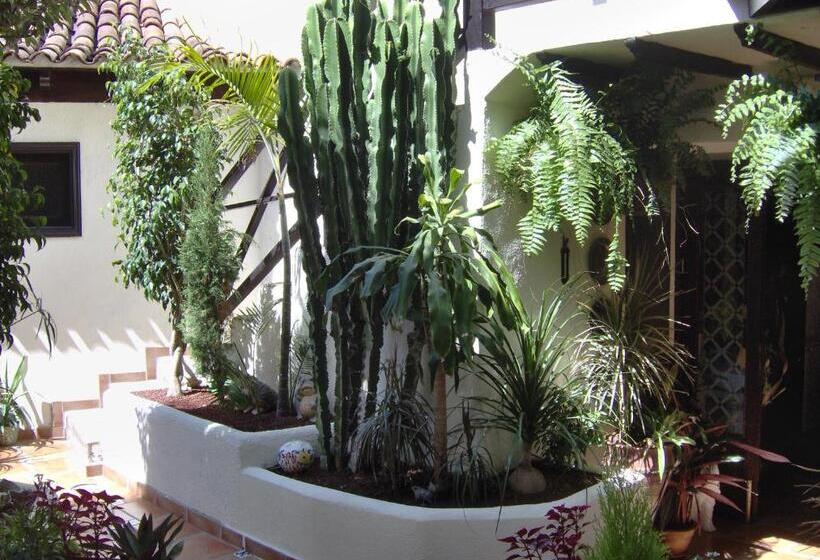 Апартаменты 1 Спальня с Террасой, Apartamentos Monasterio De San Antonio   Adults Only