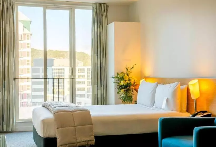 Standard-studio, Astelia Apartment