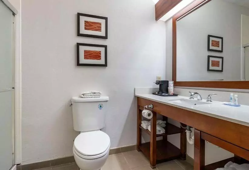 キングサイズベッドのスタンダードルーム, Comfort Inn Airport