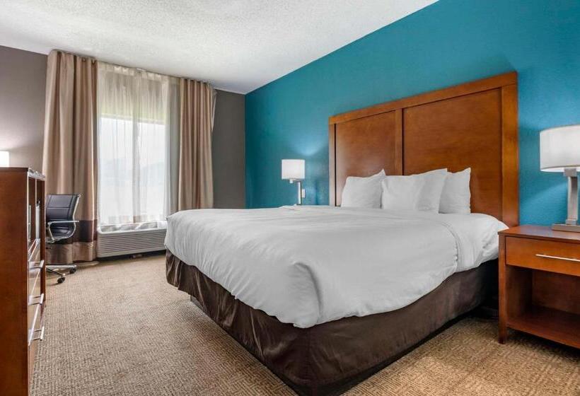 キングサイズベッドのスタンダードルーム, Comfort Inn Airport