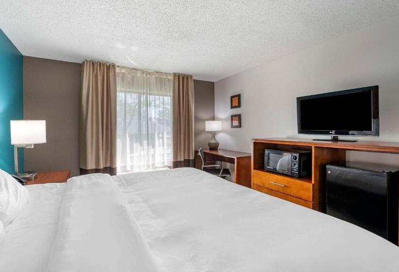 جناح سرير كينج, Comfort Inn Airport