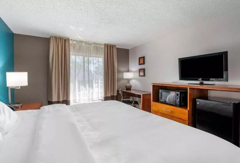 キングサイズベッドのスイートルーム, Comfort Inn Airport