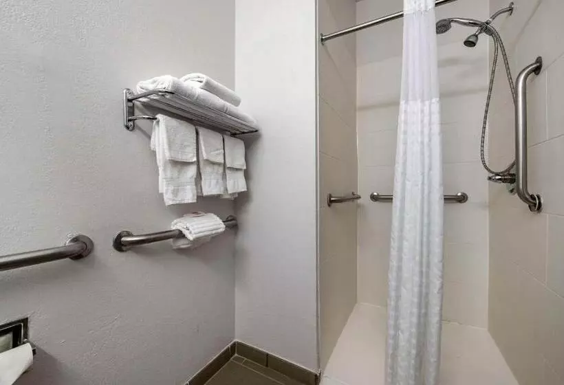 身障者適用スタンダードルーム, Comfort Inn Airport