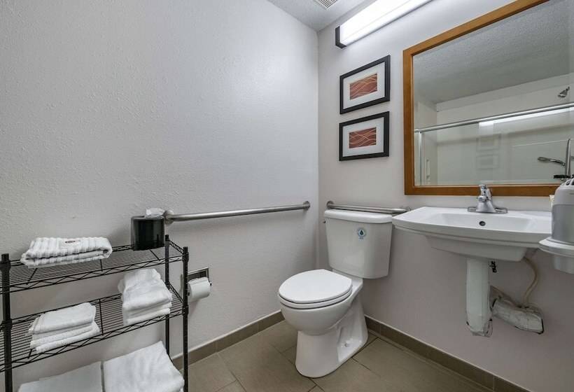 غرفه قياسيه سريرين مزدوجين, Comfort Inn Airport