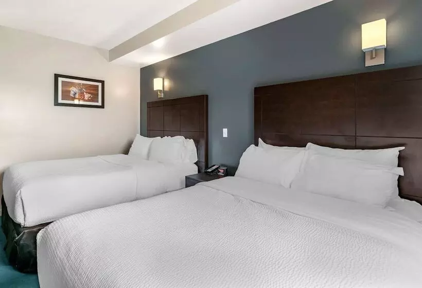 ２ダブルベッドのスタンダードルーム, Econo Lodge
