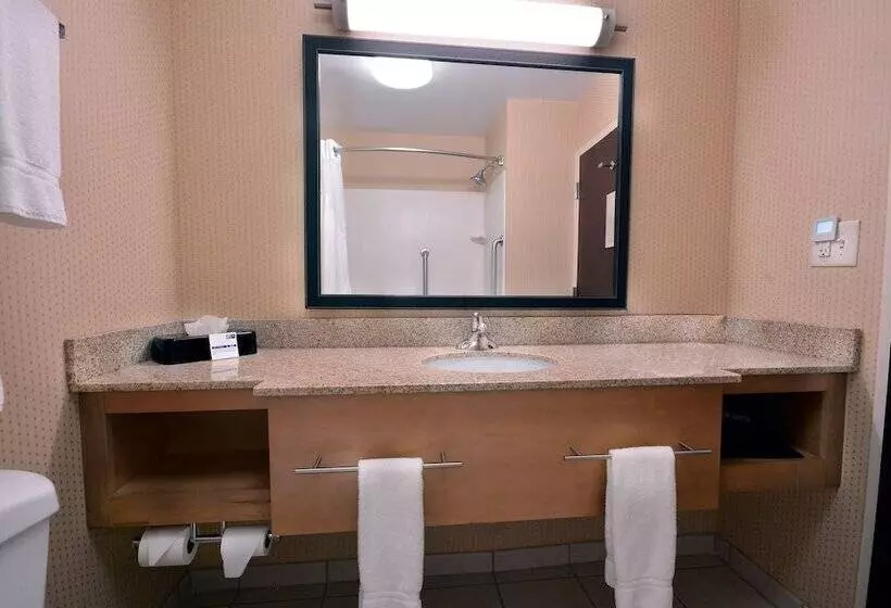 スタンダードルーム, Holiday Inn Express Hotel & Suites High Point South, An Ihg