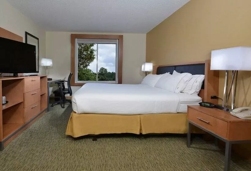 スタンダードルーム, Holiday Inn Express Hotel & Suites High Point South, An Ihg