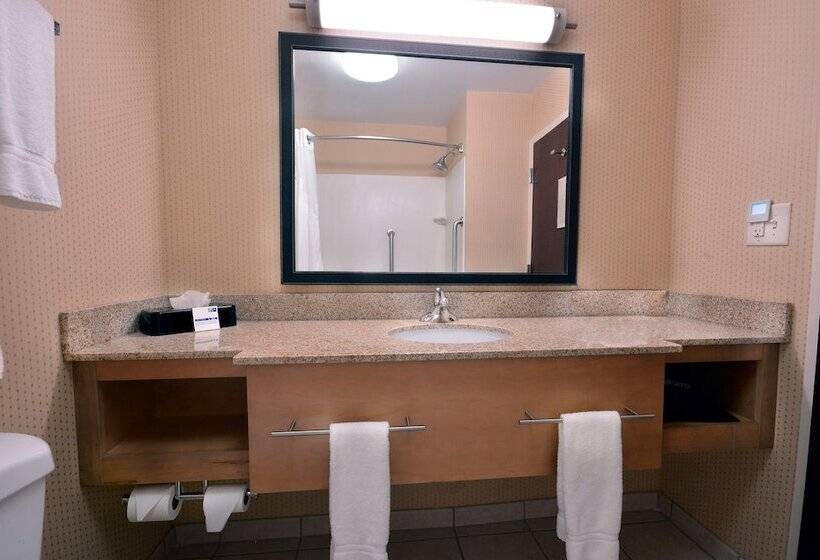 سوییت, Holiday Inn Express Hotel & Suites High Point South, An Ihg