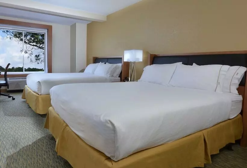 スイート, Holiday Inn Express Hotel & Suites High Point South, An Ihg