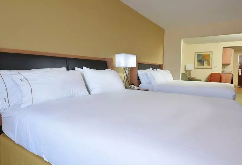 スイート, Holiday Inn Express Hotel & Suites High Point South, An Ihg