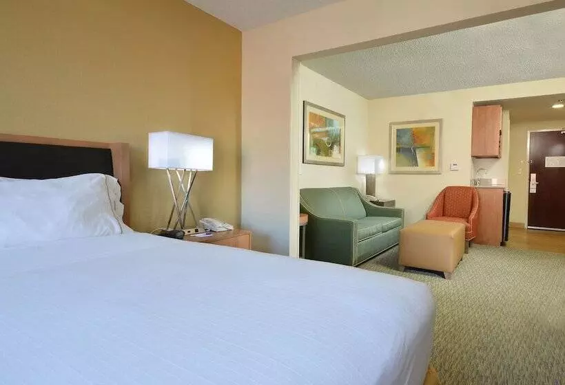 身障者適用スイートルーム, Holiday Inn Express Hotel & Suites High Point South, An Ihg