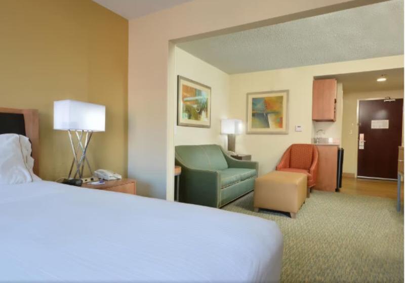 Люкс Кровать Кинг, Holiday Inn Express Hotel & Suites High Point South, An Ihg