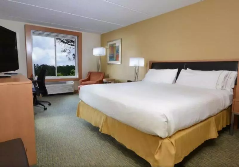 身障者適用キングサイズベッドルーム, Holiday Inn Express Hotel & Suites High Point South, An Ihg