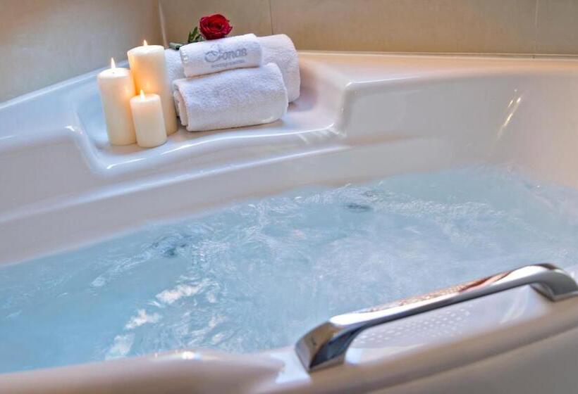 جناح مزود بجاكوزى, Ionas Boutique