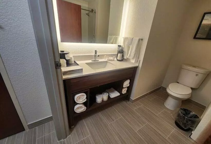 Standard-huone 2 Parivuodetta, La Quinta By Wyndham Milwaukee Sw New Berlin
