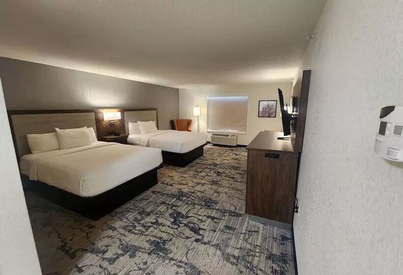 Standard-huone 2 Parivuodetta, La Quinta By Wyndham Milwaukee Sw New Berlin