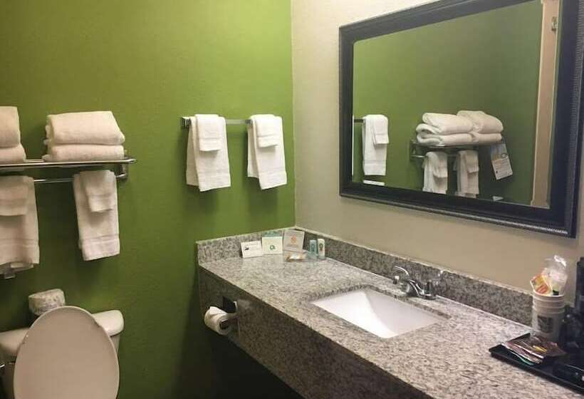 סוויטה, Quality Inn & Suites Airport