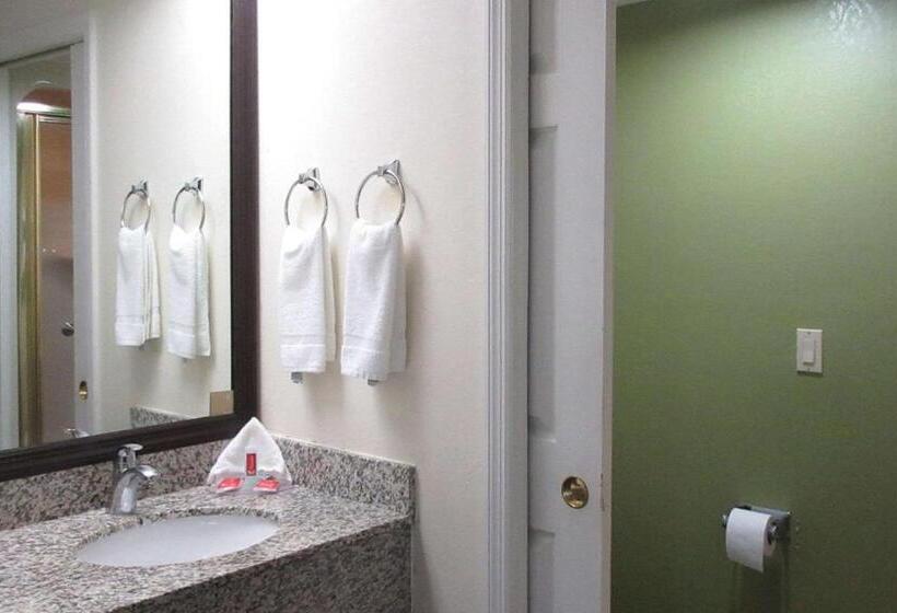 غرفه قياسيه سريرين مزدوجين, Rodeway Inn