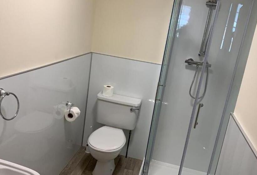 استودیوی استاندارد, The Kelvin