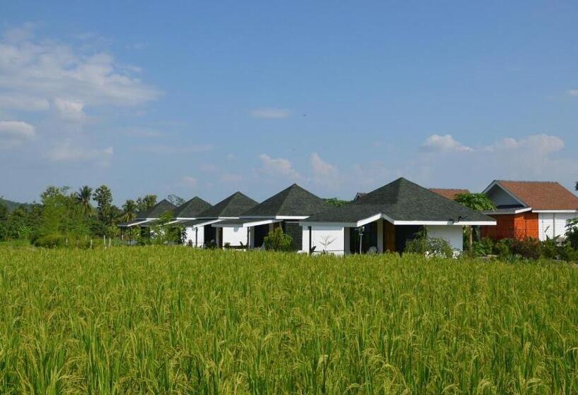 غرفة ديلوكس, Nok Chan Mee Na