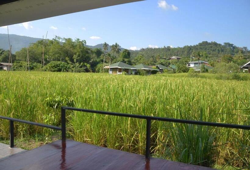 غرفة ديلوكس, Nok Chan Mee Na