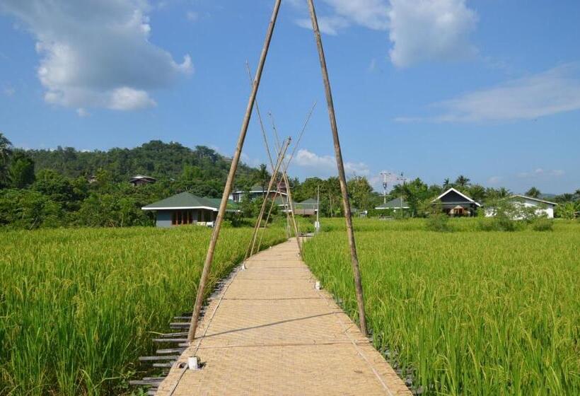 غرفة ديلوكس, Nok Chan Mee Na