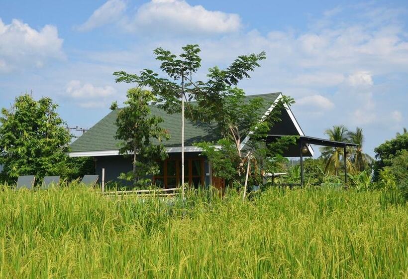 غرفة قياسية ثلاثية, Nok Chan Mee Na