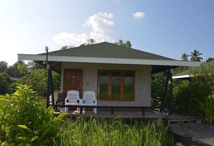 غرفة قياسية ثلاثية, Nok Chan Mee Na