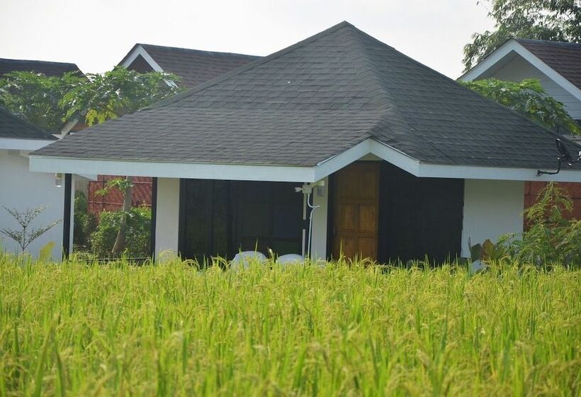 غرفة ديلوكس, Nok Chan Mee Na