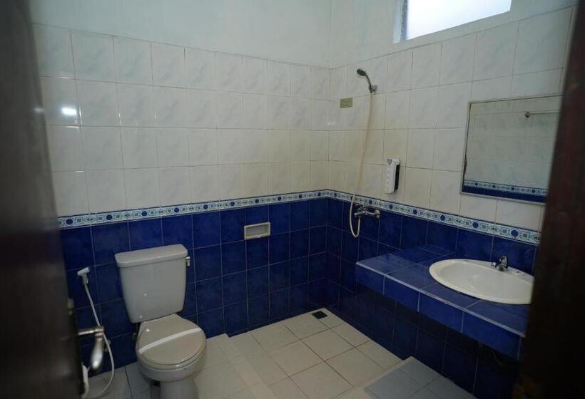 Номер Стандарт, Citere Ii