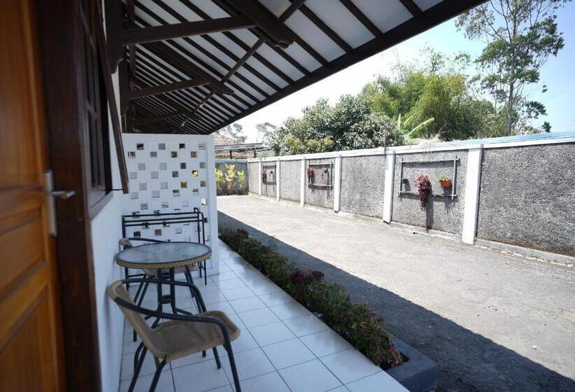 Номер Стандарт, Citere Ii