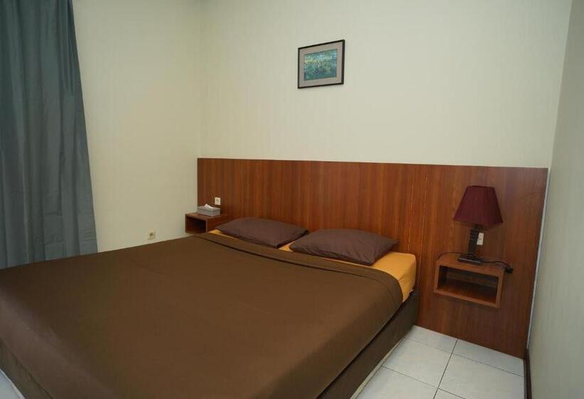 Номер Стандарт, Citere Ii