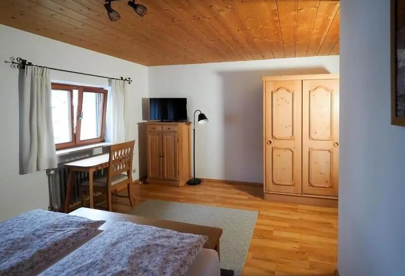 Quarto Estandar, Beim Lenz