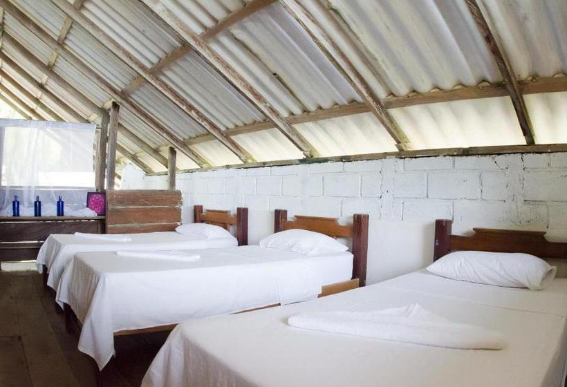 Трехместный Номер Стандарт с Видом, El Hongo Finca Hostal / Camping