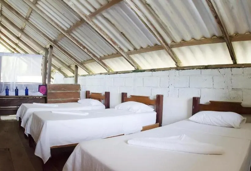 景色の見えるトリプルスタンダードルーム, El Hongo Finca Hostal / Camping
