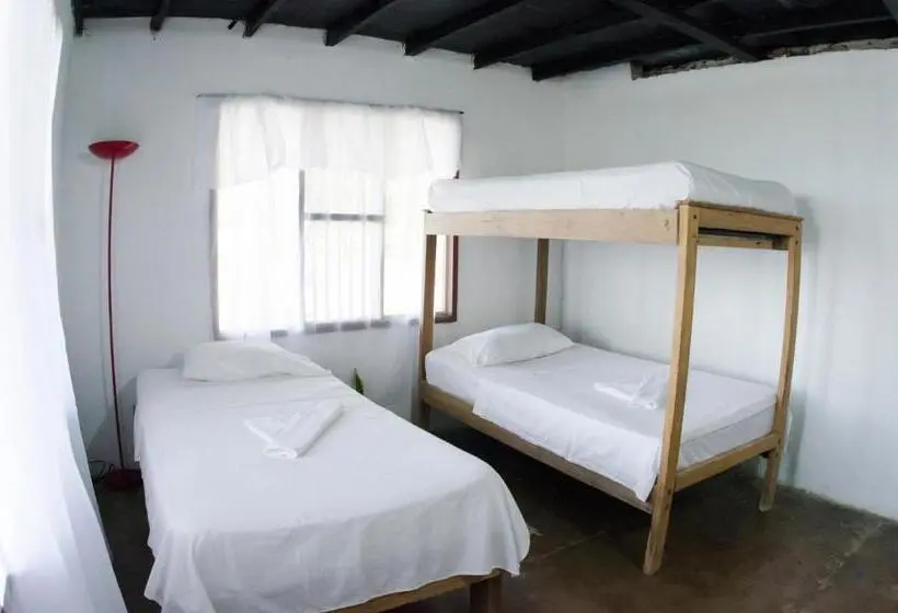 景色の見えるトリプルスタンダードルーム, El Hongo Finca Hostal / Camping