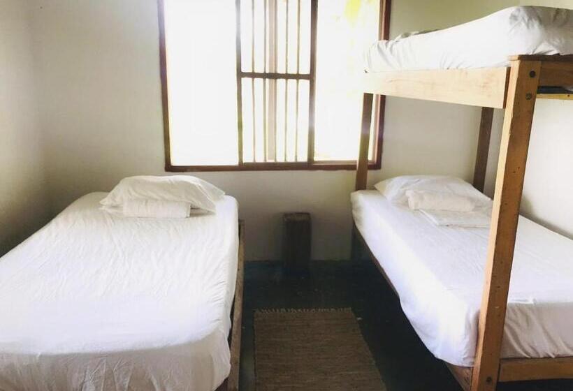 트리플 스탠다드 전망룸, El Hongo Finca Hostal / Camping