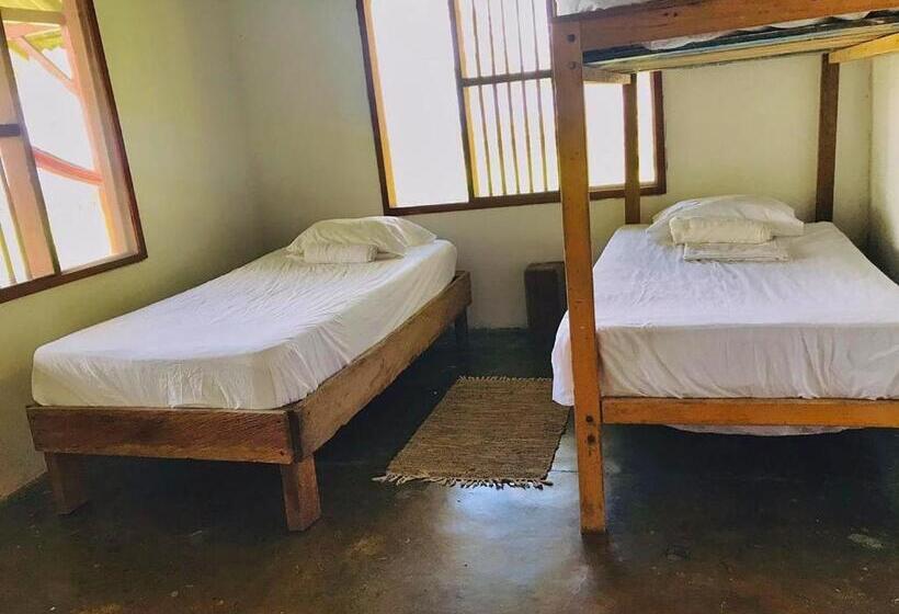 Трехместный Номер Стандарт с Видом, El Hongo Finca Hostal / Camping