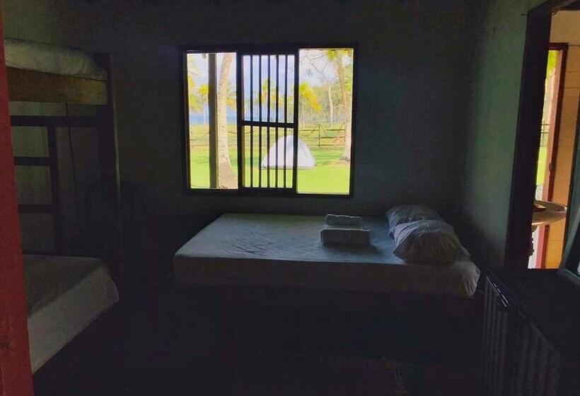 Четырехместный Номер Классик, El Hongo Finca Hostal / Camping