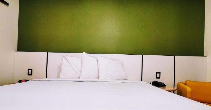 스탠다드 룸 킹사이즈 침대, The Bell Vista