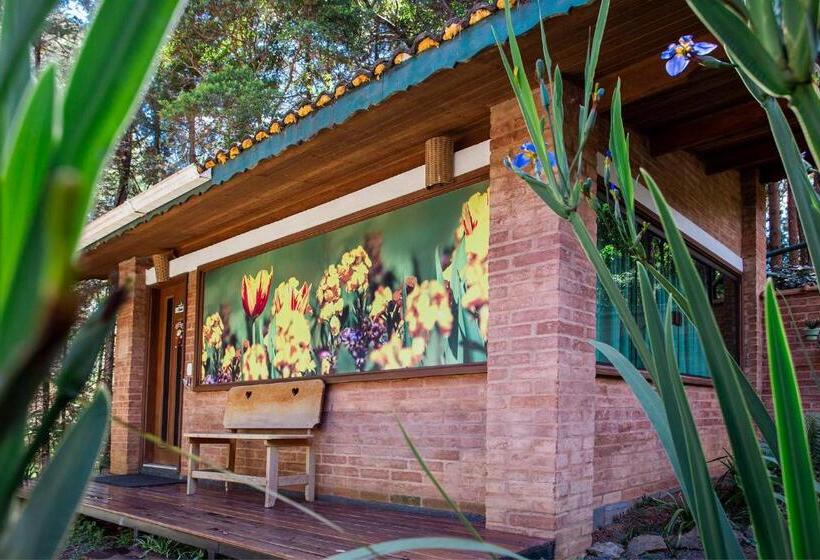 سوییت لوکس, Pousada Suiça Mineira Garden
