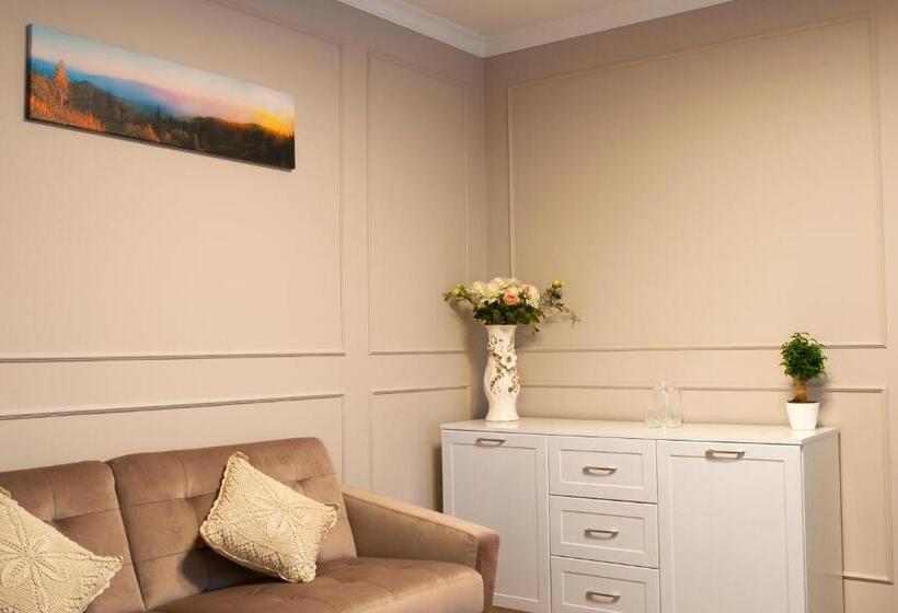 جناح مزوَّد بشرفة, Embrace