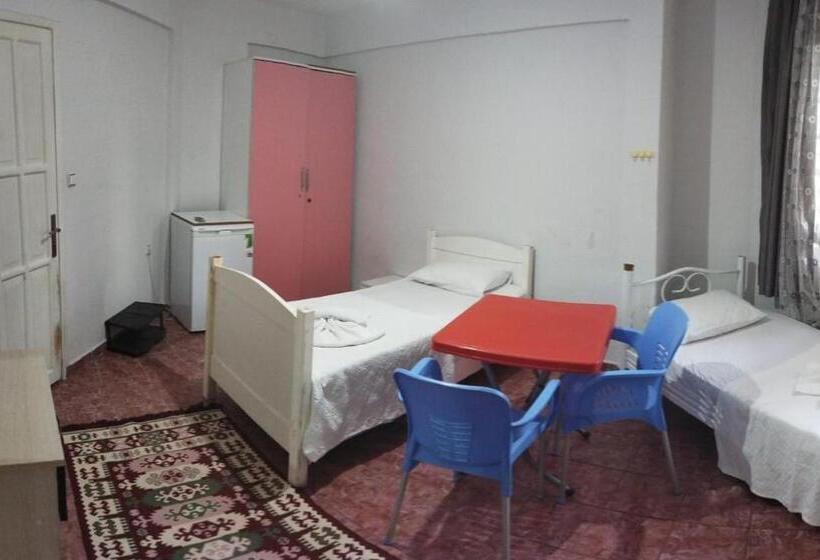 غرفة قياسية, şato Apart