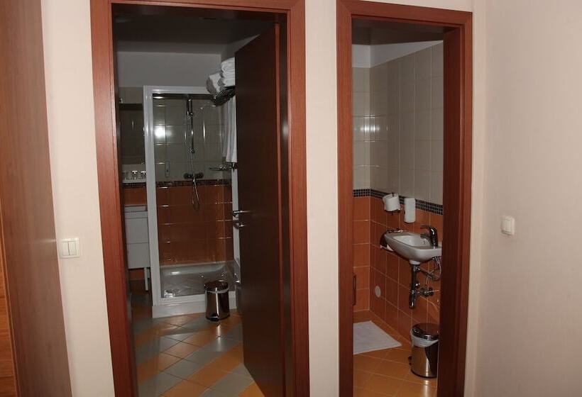 اتاق سوپریور, Aquapark Zusterna