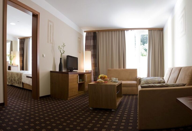 اتاق سوپریور, Aquapark Zusterna