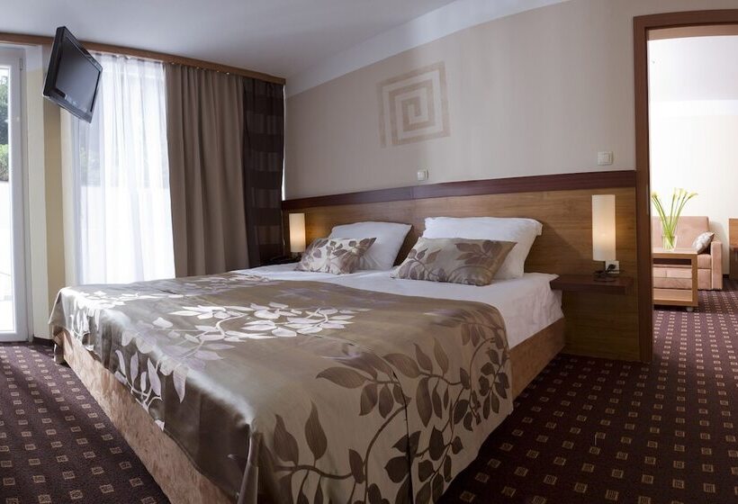 اتاق سوپریور, Aquapark Zusterna