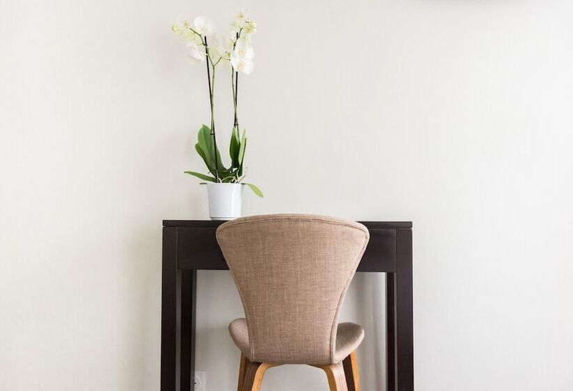 اتاق استاندارد, Beauvoir