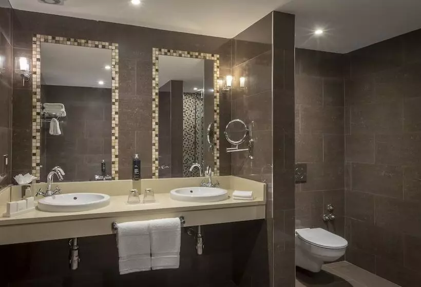 اتاق سوپریور, Clayton Hotel Dublin Airport